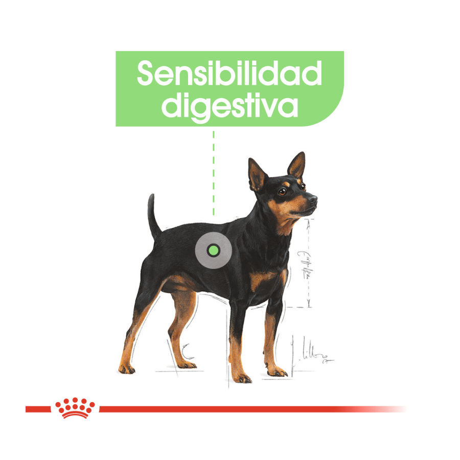 8 kg Royal Canin Digestive Care Mini pienso para perros, , large Imagen numero 5